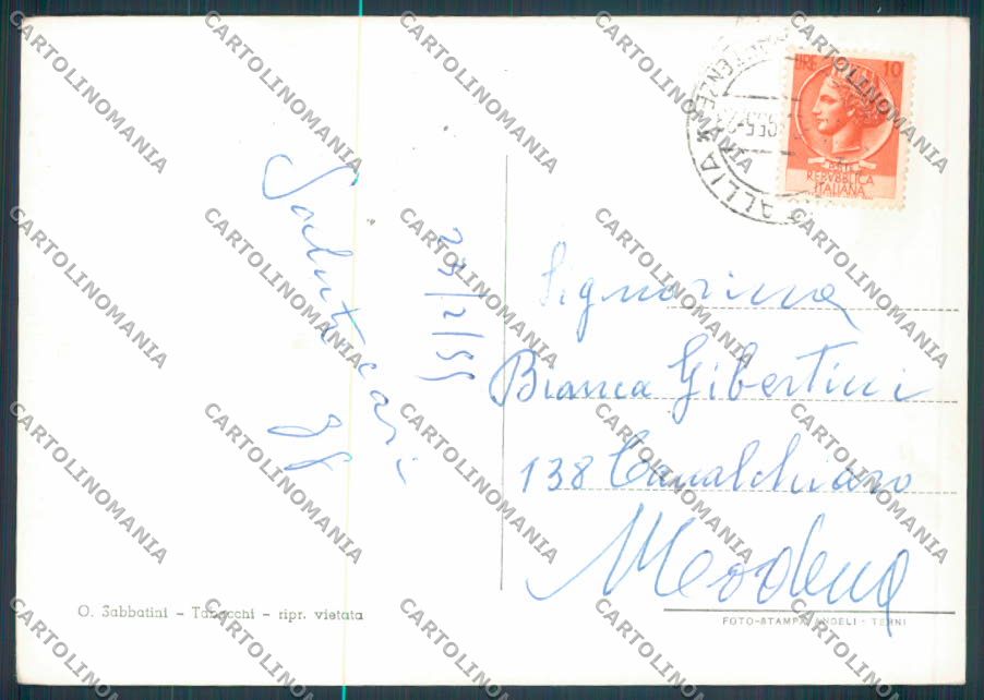Ancona Senigallia Foto FG cartolina ZF8216 – retro