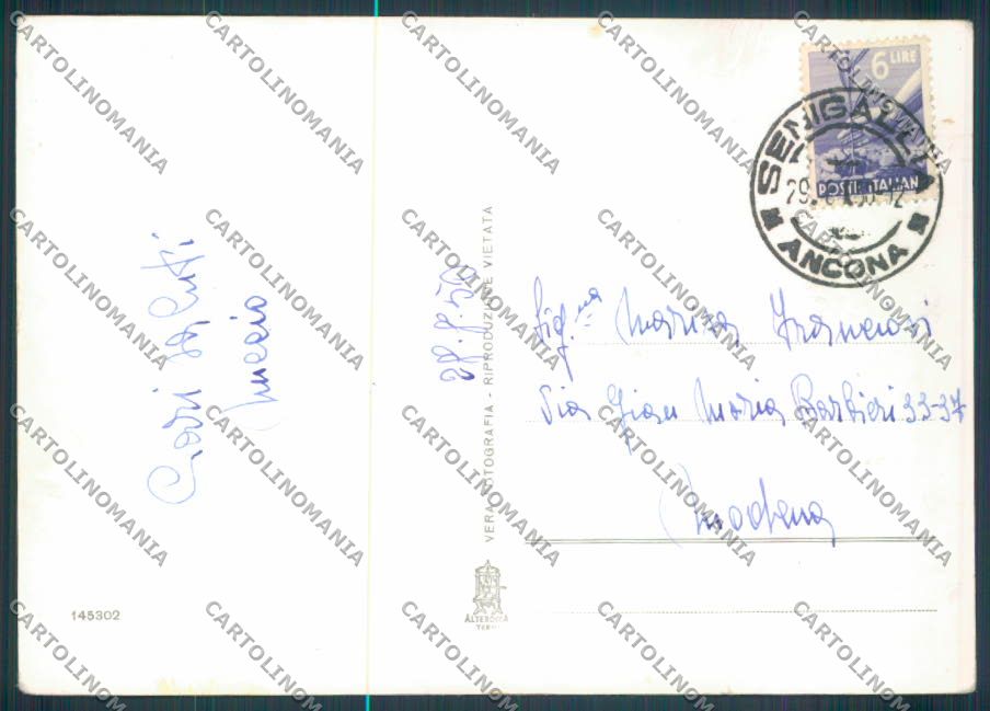 Ancona Senigallia Foto FG cartolina ZF8217 – retro