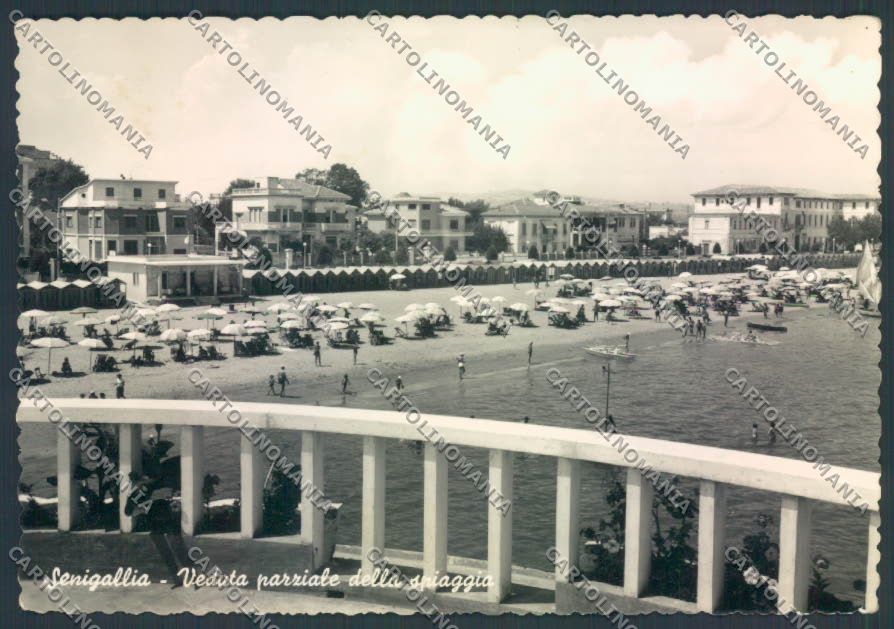 Ancona Senigallia Foto FG cartolina ZF8218 – fronte