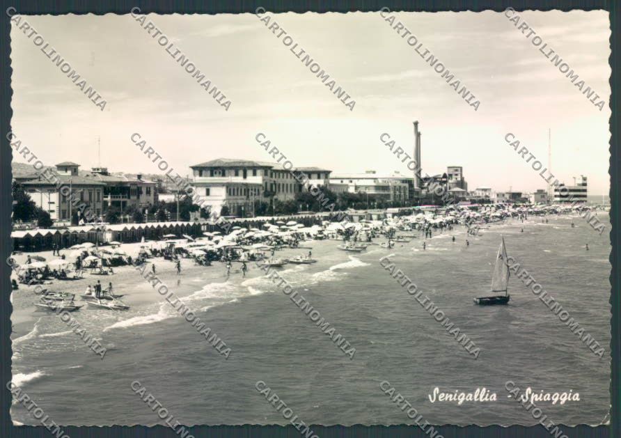 Ancona Senigallia Foto FG cartolina ZF8219 – fronte