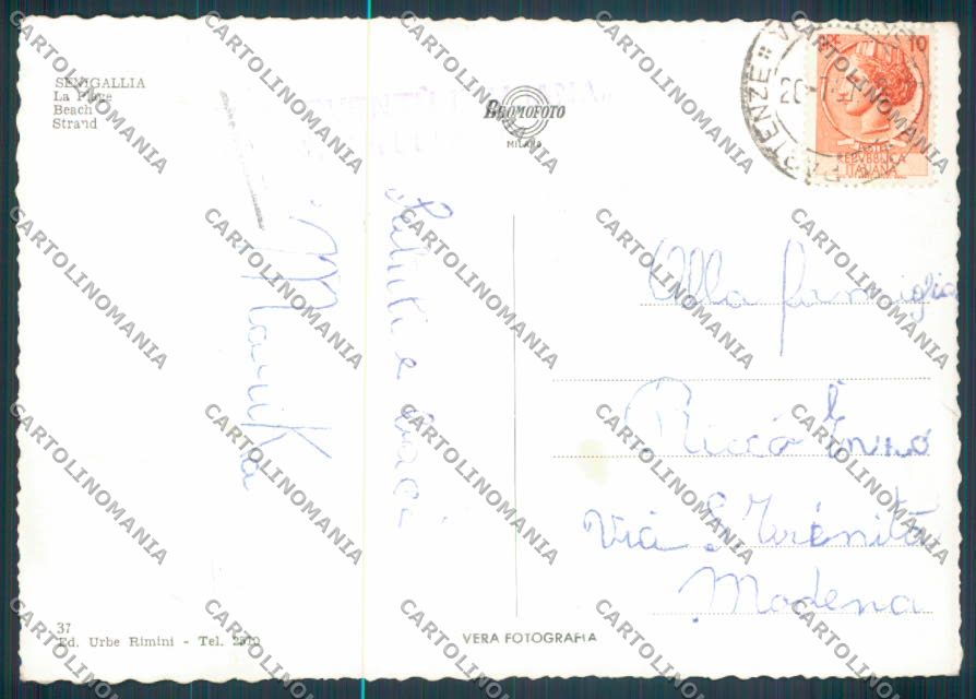 Ancona Senigallia Foto FG cartolina ZF8219 – retro