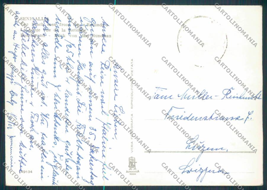 Ancona Senigallia Foto FG cartolina ZF8221 – retro