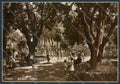 Sassari Città Foto FG cartolina ZF8247 – fronte