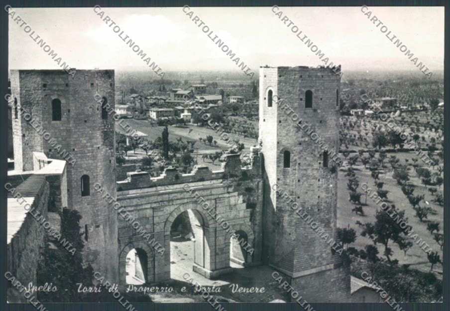 Perugia Spello Foto FG cartolina ZF8311 – fronte