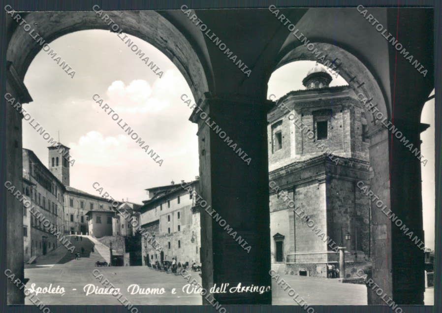 Perugia Spoleto Foto FG cartolina ZF8331 – fronte