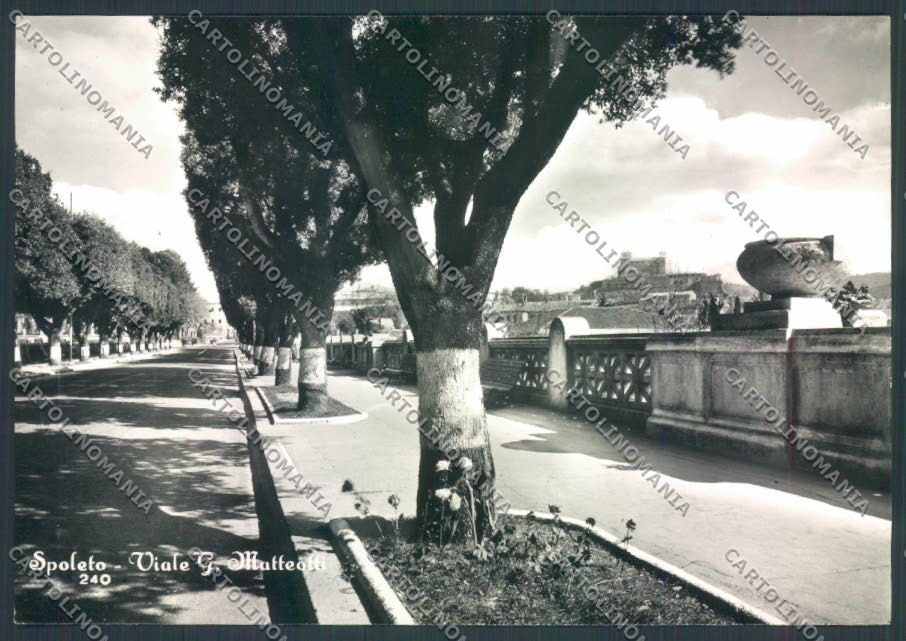 Perugia Spoleto Foto FG cartolina ZF8333 – fronte