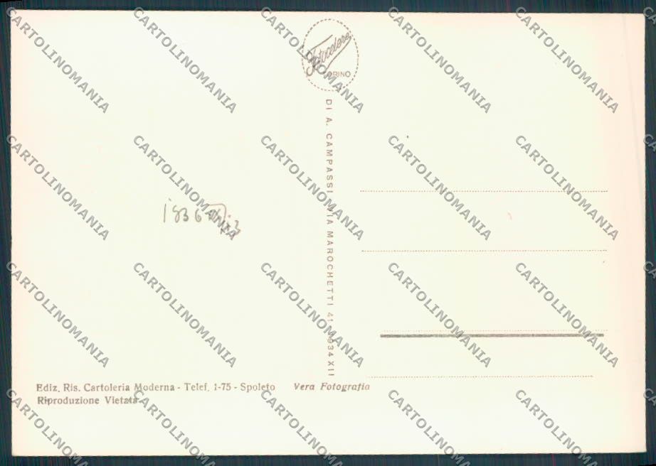 Perugia Spoleto Garibaldi Foto FG cartolina ZF8339 – retro