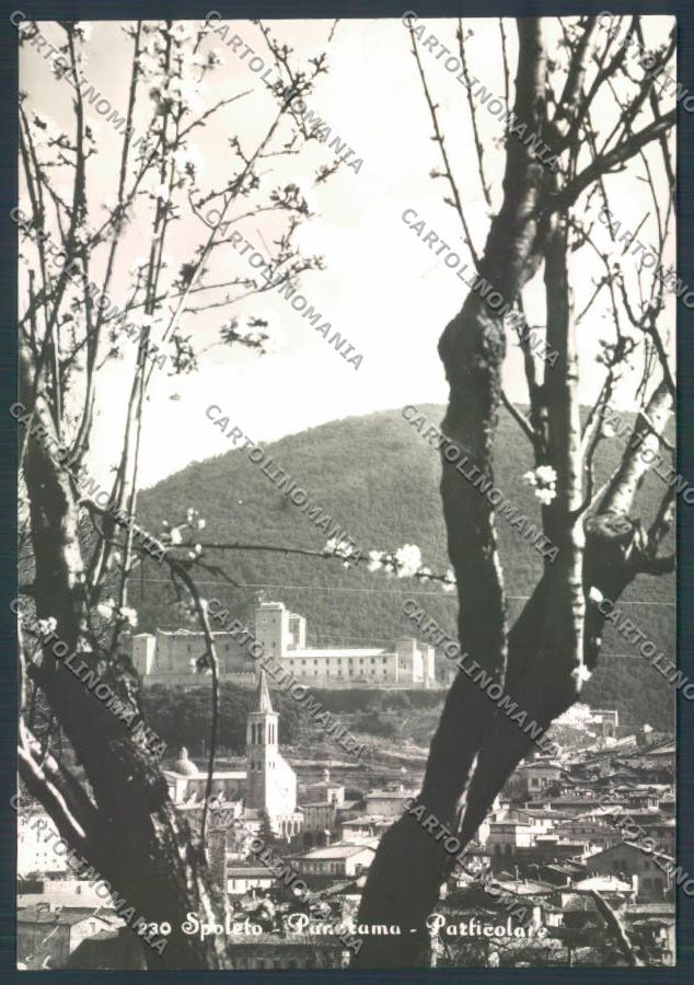 Perugia Spoleto Foto FG cartolina ZF8340 – fronte