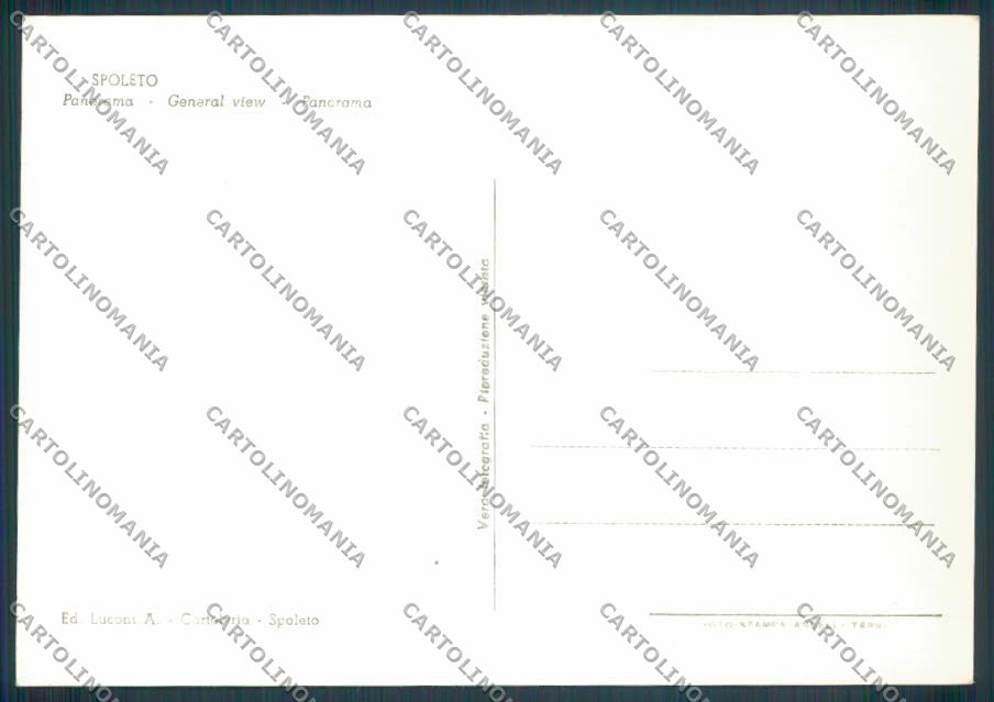 Perugia Spoleto Foto FG cartolina ZF8340 – retro
