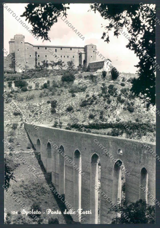 Perugia Spoleto Foto FG cartolina ZF8341 – fronte