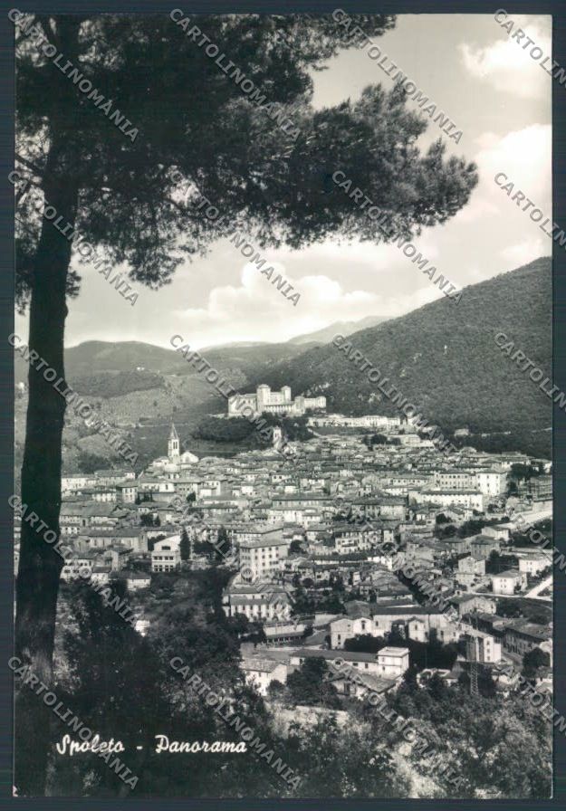 Perugia Spoleto Foto FG cartolina ZF8344 – fronte