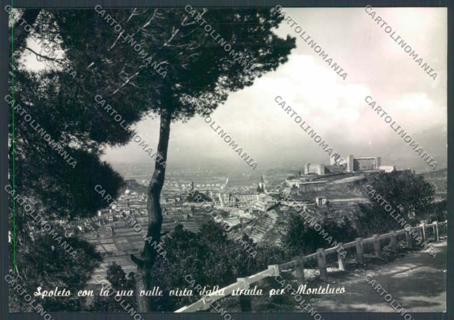 Perugia Spoleto Foto FG cartolina ZF8349 – fronte