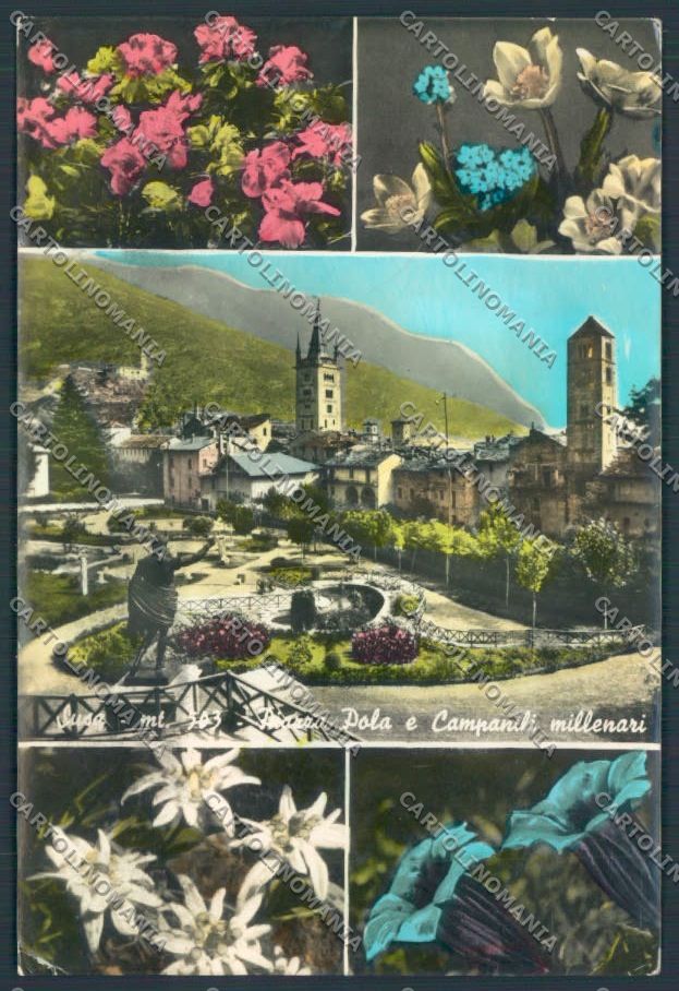 Torino Susa Foto FG cartolina ZF8374 – fronte