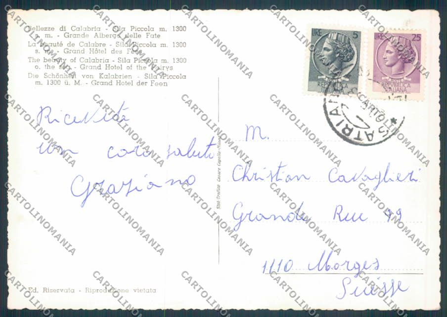 Cosenza Sila Foto FG cartolina ZF8376 – retro