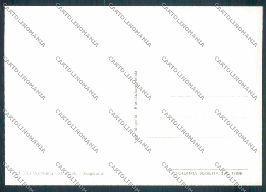 Terni Sangemini FG cartolina ZF8403 – retro