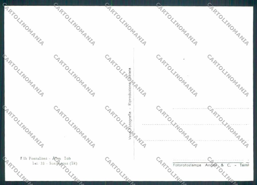 Terni Sangemini FG cartolina ZF8404 – retro