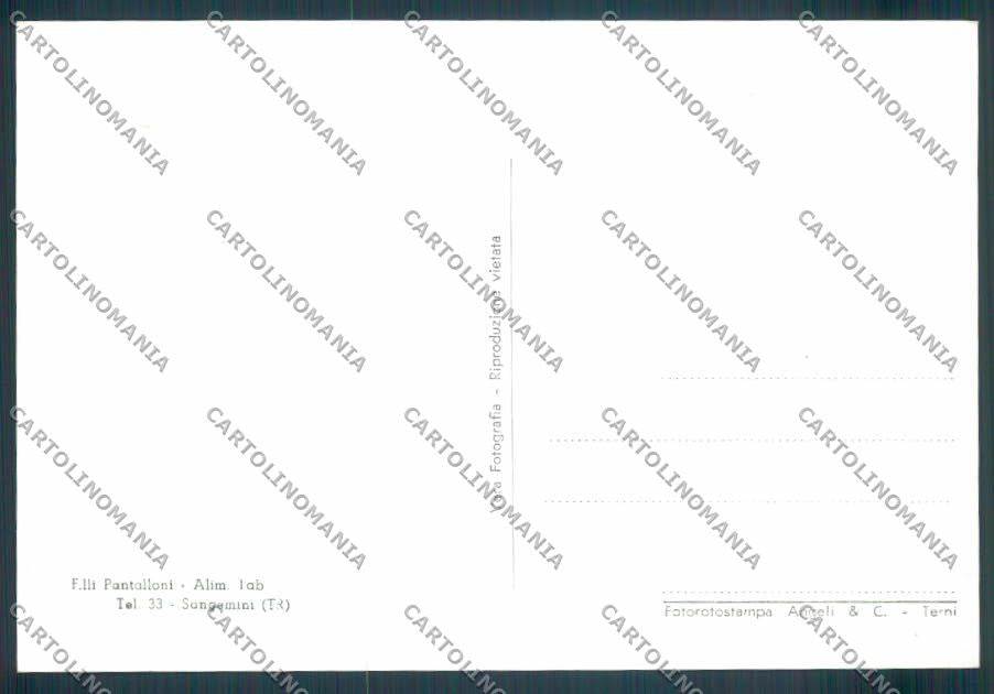 Terni Sangemini FG cartolina ZF8406 – retro