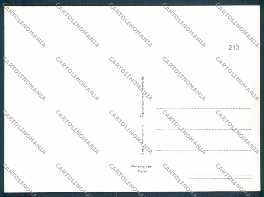 Terni Città Foto FG cartolina ZF8468 – retro