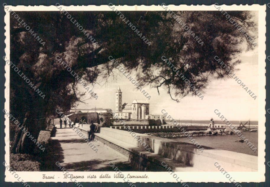 Bari Trani Foto FG cartolina ZF8497 – fronte