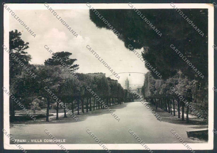 Bari Trani Foto FG cartolina ZF8511 – fronte
