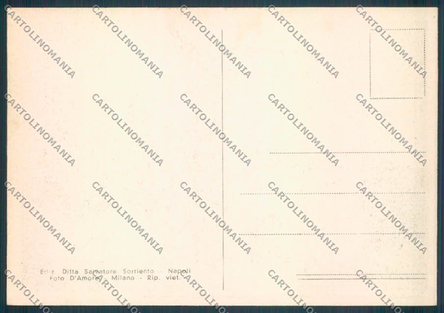 Napoli Torre Annunziata FG cartolina ZF8560 – retro