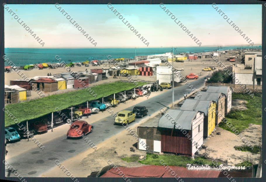 Viterbo Tarquinia Foto FG cartolina ZF8579 – fronte