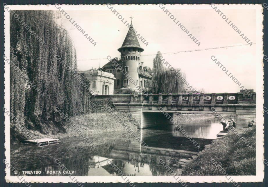 Treviso Città Foto FG cartolina ZF8582 – fronte