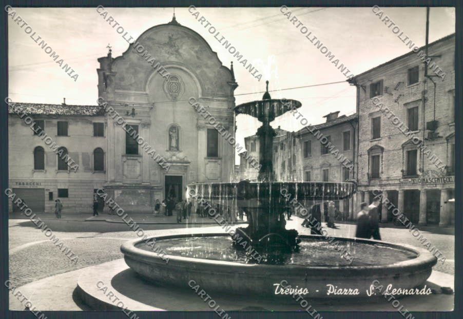 Treviso Città Foto FG cartolina ZF8584 – fronte