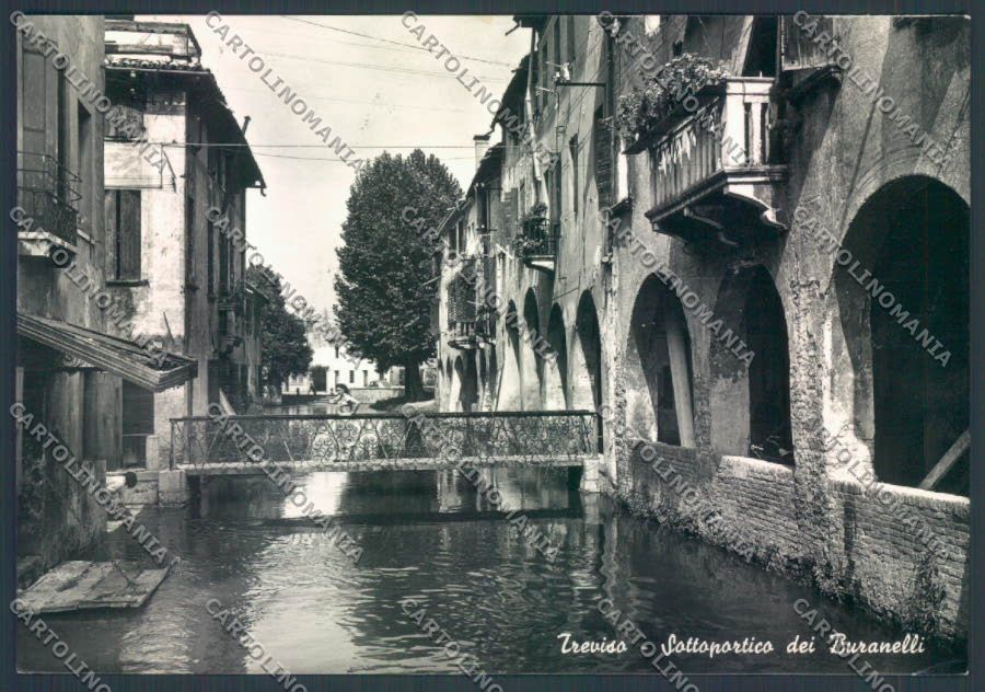 Treviso Città Foto FG cartolina ZF8585 – fronte
