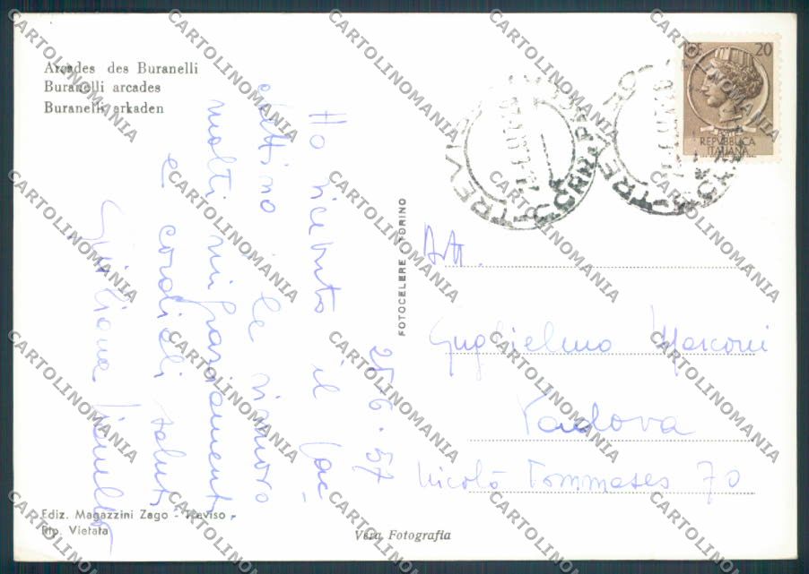 Treviso Città Foto FG cartolina ZF8585 – retro