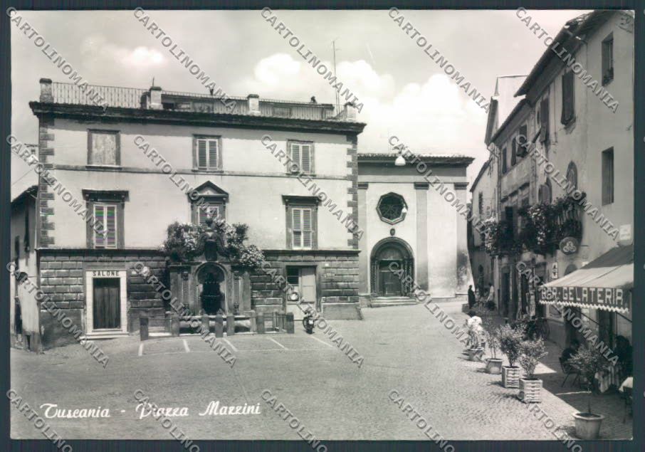 Viterbo Tuscania Foto FG cartolina ZF8597 – fronte