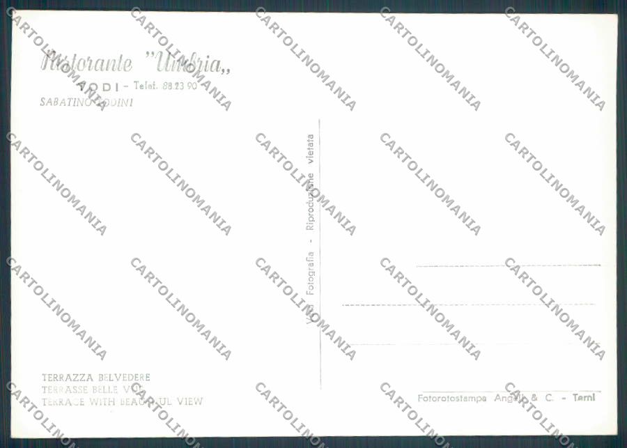 Perugia Todi Foto FG cartolina ZF8616 – retro