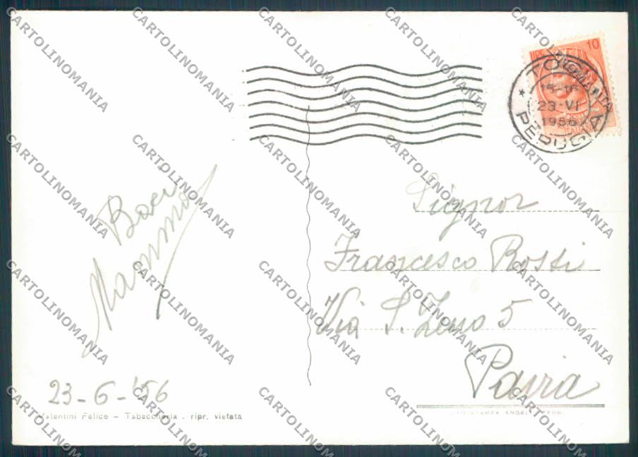 Perugia Todi Foto FG cartolina ZF8617 – retro