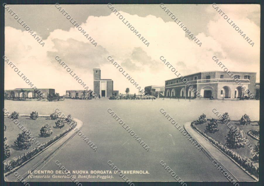 Foggia Tavernola FG cartolina ZF8621 – fronte