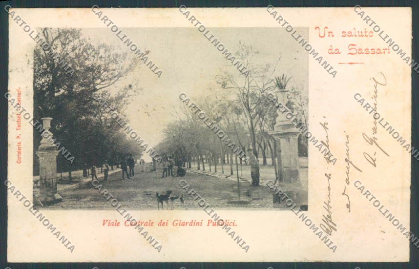 Sassari città Giardini cartolina ZG0242 – fronte