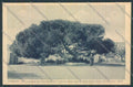 Sassari Caprera Garibaldi cartolina ZG0289 – fronte