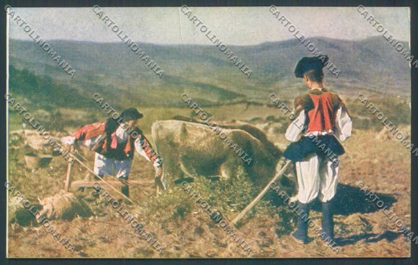 Nuoro Costumi Sardi Oliena Aratura cartolina ZG0495 – fronte