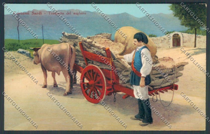 Cagliari Costumi Sardi Trasporto Sughero cartolina ZG0506 – fronte