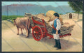 Cagliari Costumi Sardi Trasporto Sughero cartolina ZG0506 – fronte