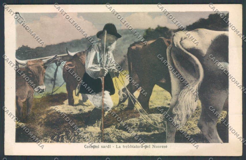 Nuoro Costumi Sardi Trebbiatura cartolina ZG0565 – fronte
