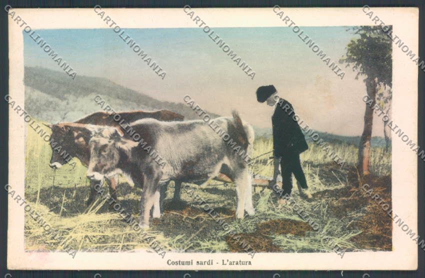Cagliari Costumi Sardi Aratura cartolina ZG0567 – fronte