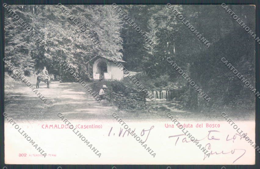 Arezzo Camaldoli Alterocca cartolina ZG0933 – fronte