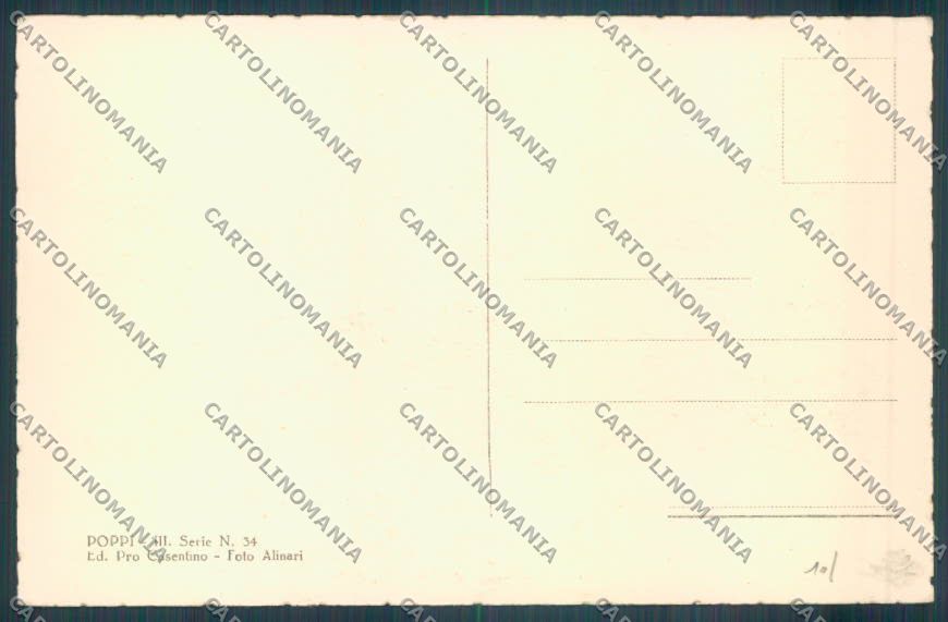 Arezzo Poppi cartolina ZG0937 – retro