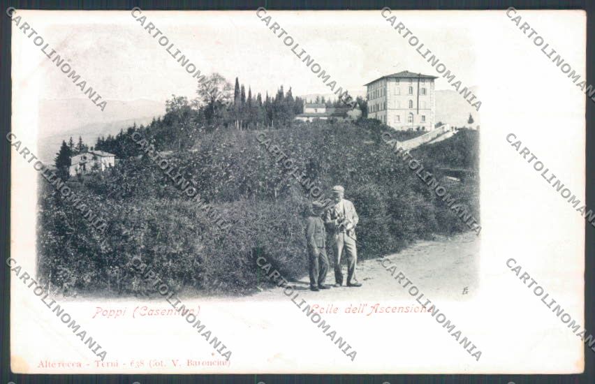 Arezzo Poppi Alterocca cartolina ZG0947 – fronte