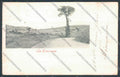 Firenze La Consuma cartolina ZG0962 – fronte