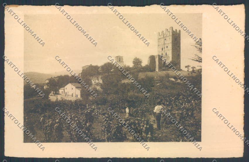 Arezzo Stia cartolina ZG1054 – fronte