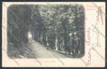 Firenze Reggello Vallombrosa cartolina ZG1143 – fronte