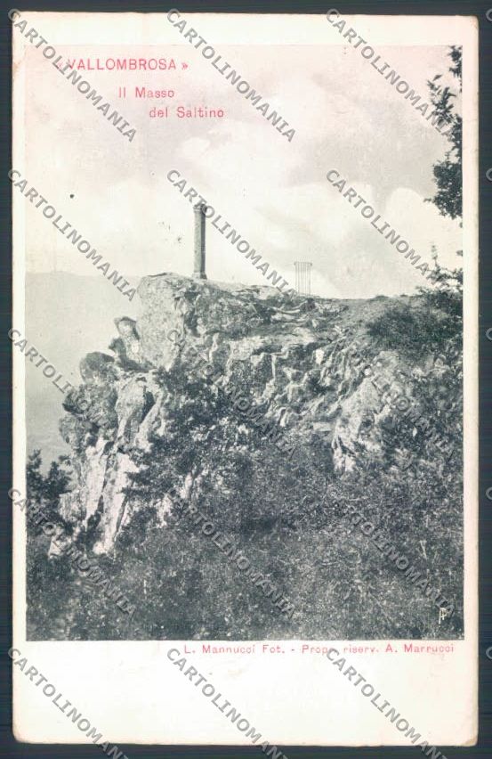 Firenze Reggello Vallombrosa cartolina ZG1145 – fronte
