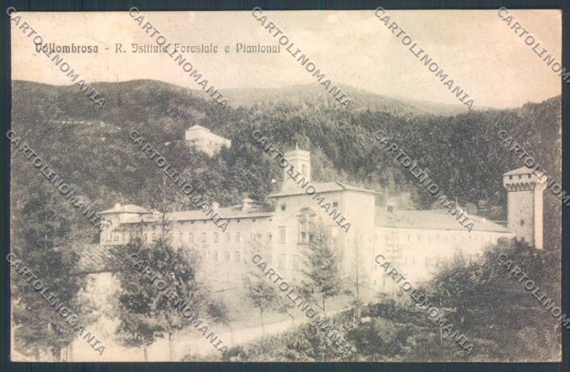 Firenze Reggello Vallombrosa cartolina ZG1151 – fronte