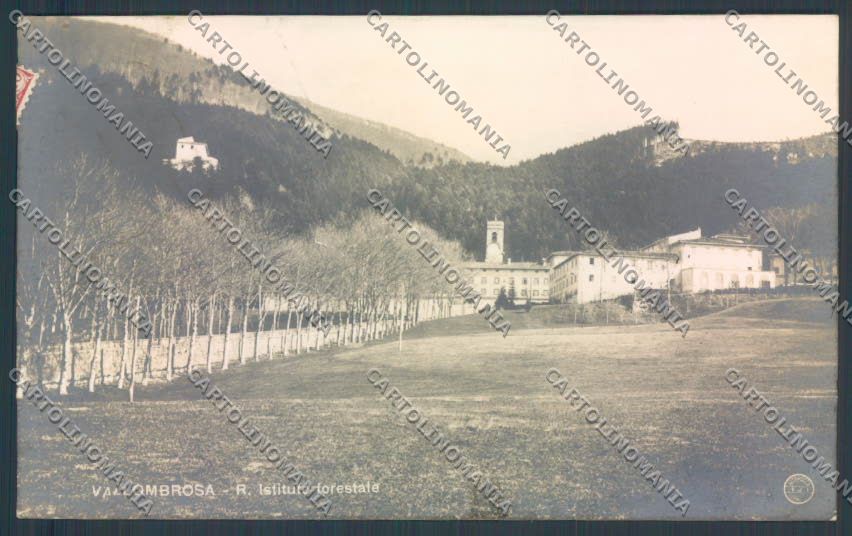 Firenze Reggello Vallombrosa Foto cartolina ZG1163 – fronte